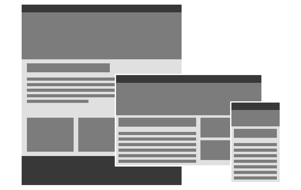 cms_expertise